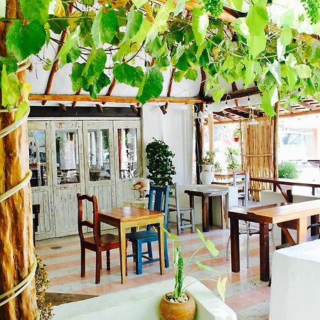 Posada Amor Hotel Boutique Puerto Morelos Dış mekan fotoğraf