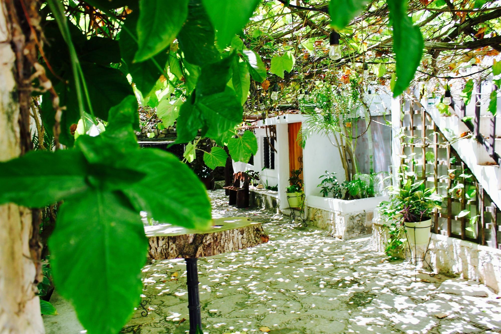 Posada Amor Hotel Boutique Puerto Morelos Dış mekan fotoğraf