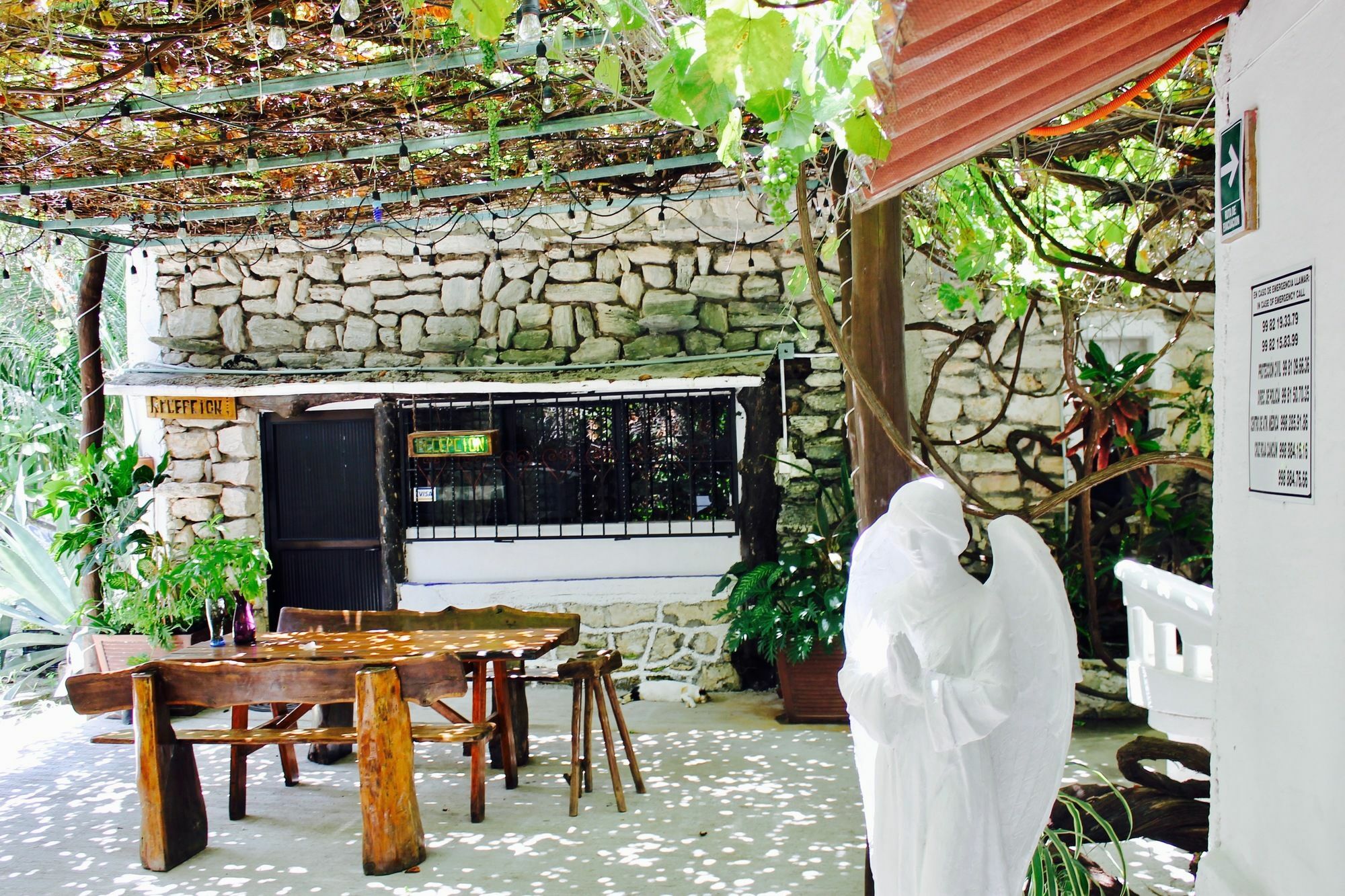Posada Amor Hotel Boutique Puerto Morelos Dış mekan fotoğraf