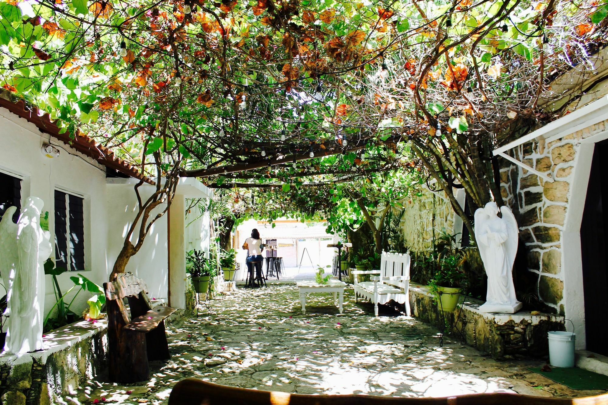 Posada Amor Hotel Boutique Puerto Morelos Dış mekan fotoğraf